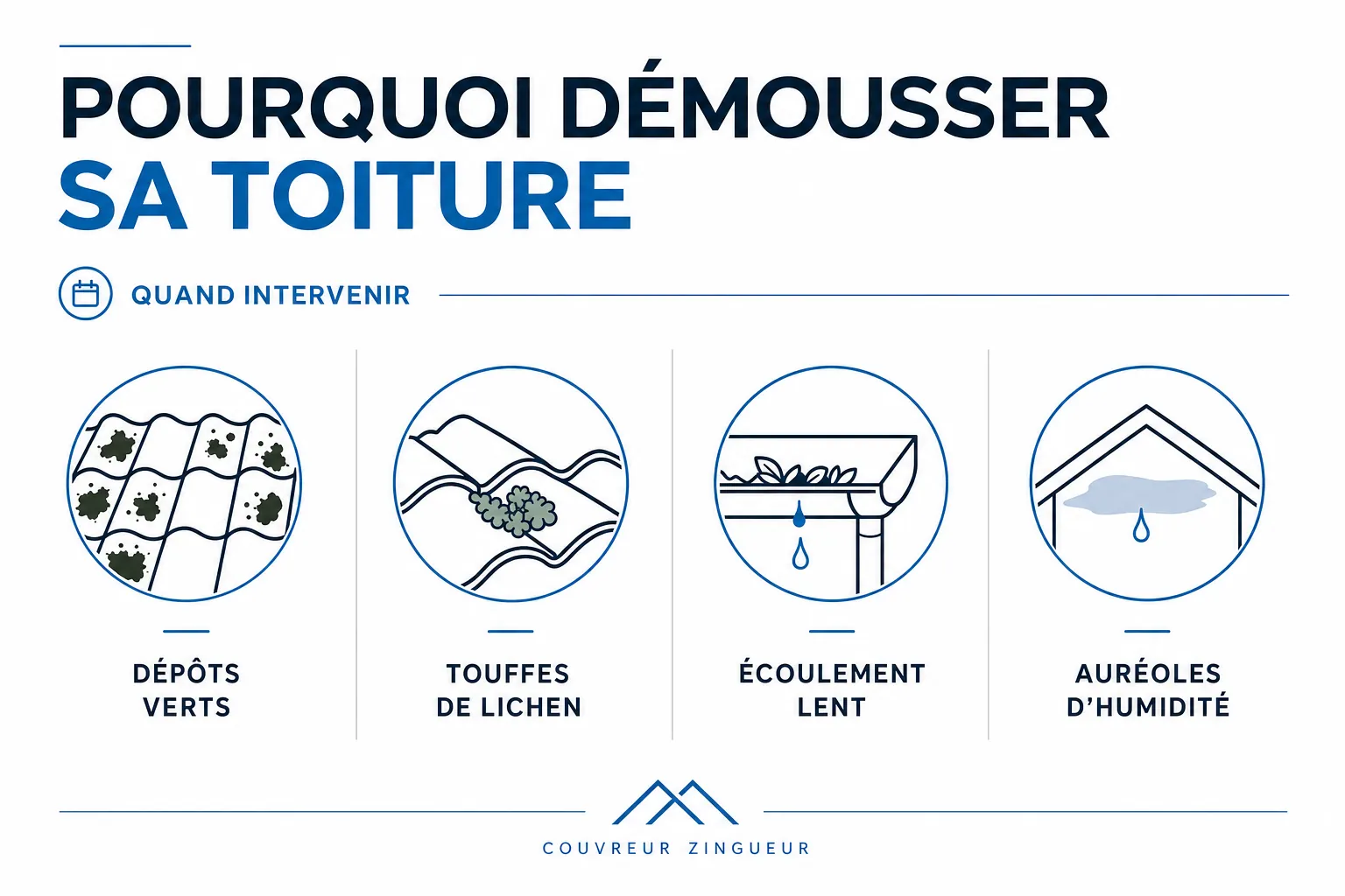 Infographie : Pourquoi démousser sa toiture et quand intervenir